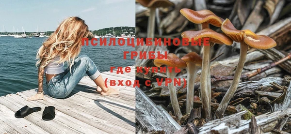 твердый Балахна
