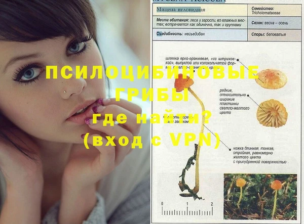 твердый Балахна